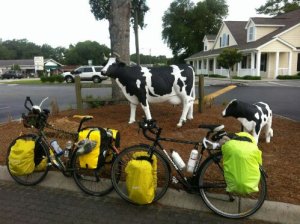 Opus Largo with green frame, brown handlebar tape and saddle and army green handlebar bags, and Bianchi Volpe with black frame, Terry Liberty saddle and white handlebar tape - both bikes have steel frames and spd pedals.