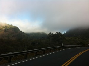 The blue sky to my left taunted me all ride...