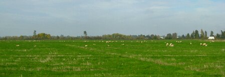 IMG_20131009_203100.JPG image