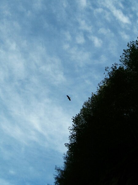 IMG_20131011_221958.JPG image