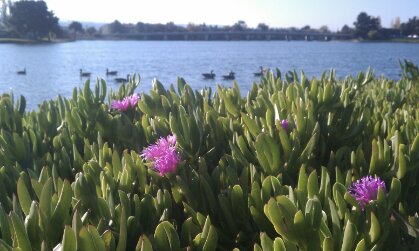 IMG_20131102_171608.JPG image