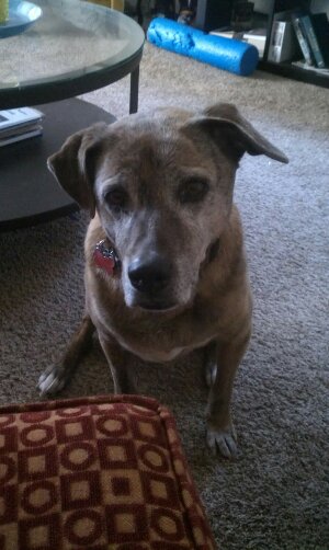 wp-1393348449432 image