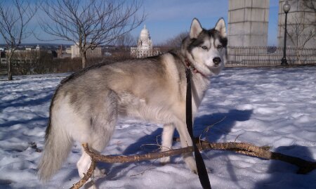 wp-1393352961703 image