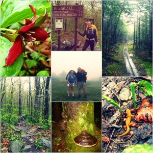 Hiking the Appalachian/Long Trail in Vermont with Hannah and John